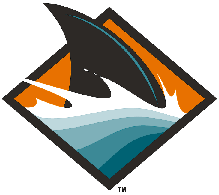 San Jose Sharks 2008-Pres Alternate Logo iron on transfers for clothing